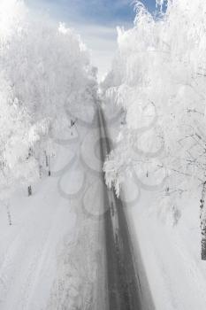 Winter road with snowy trees, outdoors shot