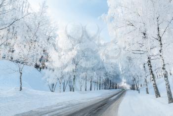 Winter road running along the snow-covered trees. Russia, Yaroslavl