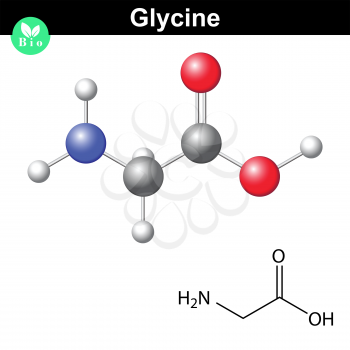 Glycine - main amino acid and inhibitory neurotransmitter, chemical model and molecular structure, 2d and 3d illustration, vector, eps 8