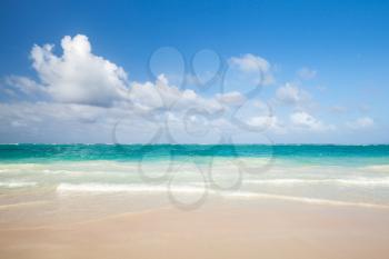 Bright empty beach, coastal landscape. Atlantic ocean coast, Dominican republic. Punta Cana