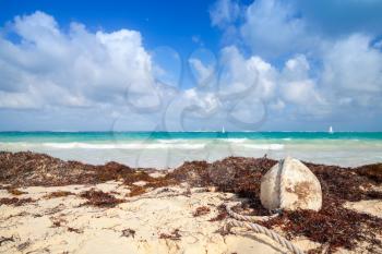 Old white buoy of fishing net lays on the beach. Atlantic ocean coast, Dominican republic
