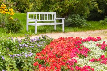 Colorful flowers on the flowerbed in summer park. White wooden bench on the background. Selective focus. Trigorskoye village, Russia