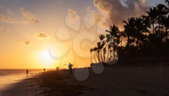Orange sunrise over Atlantic ocean coast with palm trees silhouettes. Beach landscape, Hispaniola island, Dominican republic