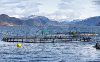 Norwegian fish farm for salmon growing in open water