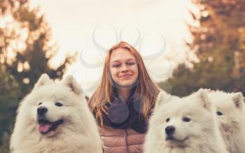 Happy teenage girl with three white Samoyed dogs on a walk, instagram style tonal filter effect