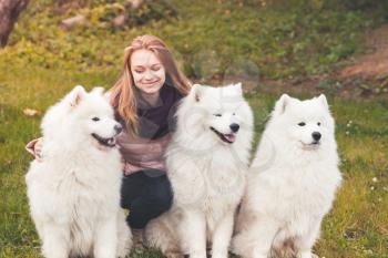Caucasian girl with three white Samoyed dogs on a walk in autumn park