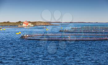 Fish farm for salmon and trout production in natural environment. Norwegian Sea fjord, Trondheim region