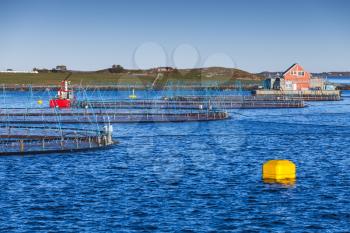 Norwegian fish farm for salmon production in natural environment. Sea fjord, Trondheim region