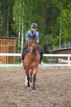 Riding lessons, teenage Caucasian girl and a horse on manege, vertical photo
