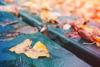 Fallen colorful autumn leaves lay on green wooden park bench, background photo with selective focus