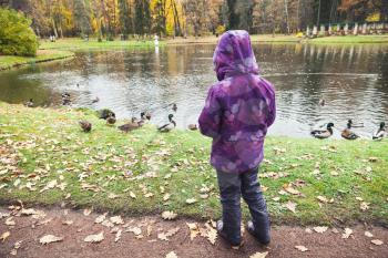 Little girl feeds ducks in autumn park