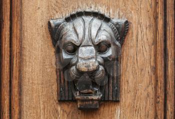 Wooden lion head relief - decorative element on ancient weathered door  in old part of Tallinn, Estonia