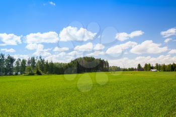 Rural summer Finnish landscape, green field and forest under blue sky with clouds