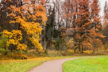 Empty walking path in autumn park. Background photo, Russia
