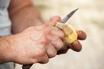 Raw potato peel, cook hands with knife, close-up photo, selective focus