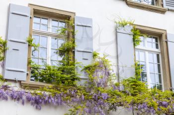 Living house facade with windows and flowers on wall. Old City of Bern, Switzerland