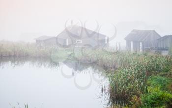 Foggy morning on a lake coast, Russian rural landscape