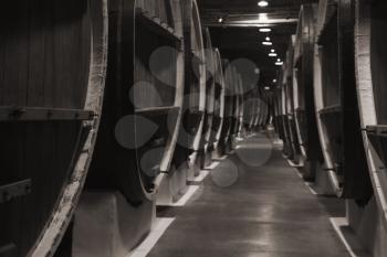 Vintage wooden barrels in winery basement, monochrome photo with selective focus
