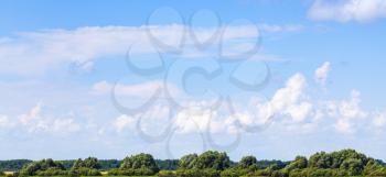 Blue sky with white clouds over green forest, natural panoramic background photo