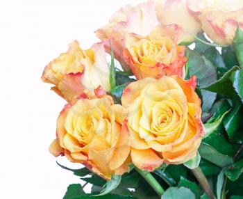 Orange and yellow roses bouquet fragment isolated on white
