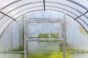 Fragment of modern greenhouse interior with wet walls