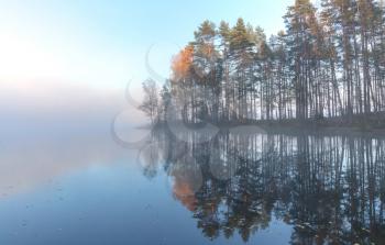 Still lake autumn landscape in cold foggy morning