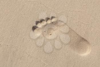 Man footprint in wet yellow sand on the beach