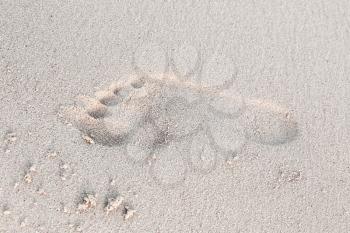 One footprint in white coastal sand on the beach