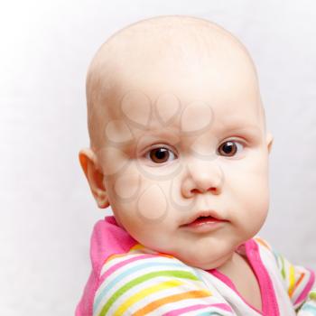 Little brown eyed Caucasian baby closeup studio portrait on gray background