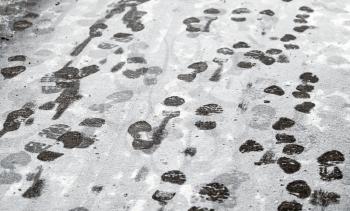 Footsteps in fresh wet snow on asphalt urban road