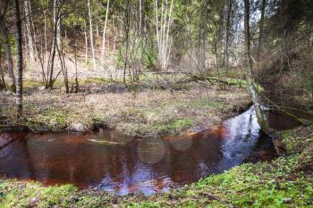 Small stream with dark red water runs through wild forest