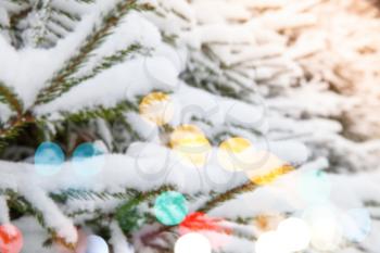 Spruce branches covered with snow, blurred refocused photo with bokeh of colorful lights