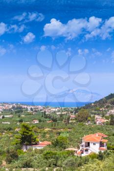 Vertical summer rural landscape of Zakynthos, Greek island in the Ionian Sea