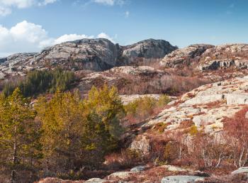 Northern Norway in springtime. Mountain landscape with pine trees and red moss growing on rocks. Warm tonal correction photo filter, old style effect