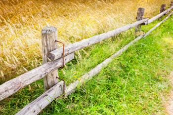 Rural wooden fence along field of rye in summer season