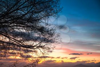 Bare tree branches over colorful cloudy sky at sunset