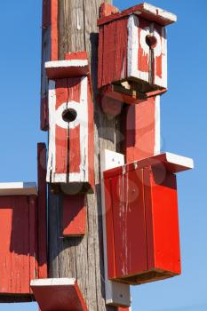 Bright red nesting boxes mounted on wooden post in Finland