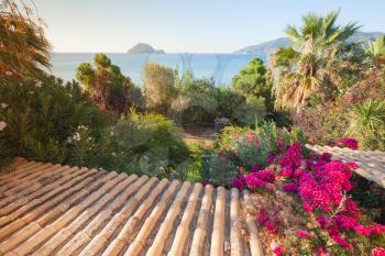 Summer landscape of Zakynthos island, Greece. Old tiling roof slope goes down in summer garden with bright red flowers and palm trees