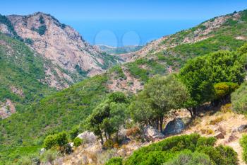 South region of Corsica island, France. Landscape of Piana area with trees growing on coastal mountains