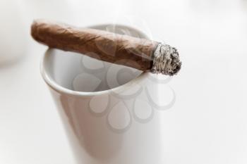 Handmade cigar lays on white coffee cup, close-up photo with selective focus over white background 