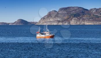 Small Norwegian fishing boat goes on fjord, Trondheim region, Norway