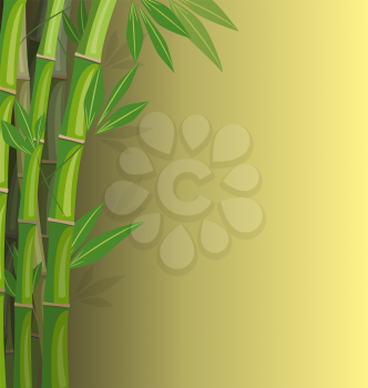 Green bamboo on yellow background with shadows