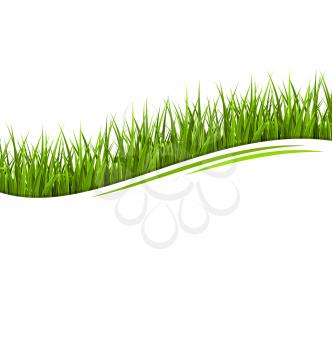 Green grass lawn wave isolated on white. Floral eco nature background