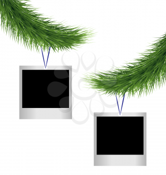 Two blank photoframes hanging on green pine branches isolated on white background