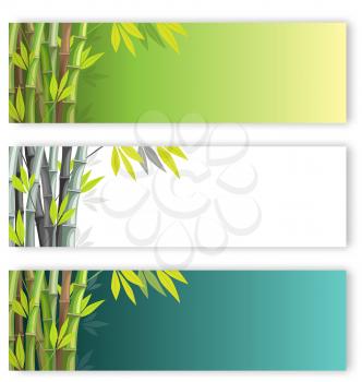 Bamboo flyers set on different colors backgrounds