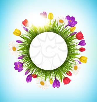 Circle frame with green grass flowers and sunlight. Floral nature background