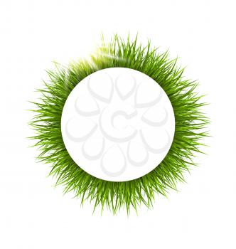 Circle frame with green grass and sunlight. Floral nature background
