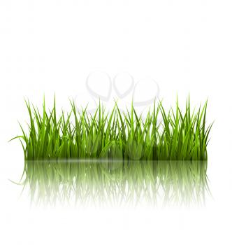 Green grass lawn with reflection on white. Floral nature spring background