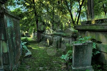 Old cemetery with damaged graves in forest
