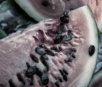 close up of the rotten watermelon